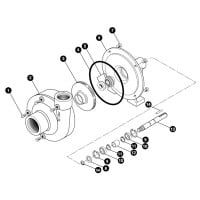 Repuestos Ace Pumps Fmc-200 Rotación cw Horario