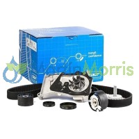 Renault Clio Kangoo 1.6 16V Kit de Distribucion con Bomba de Agua SKF VLMC 06020 A