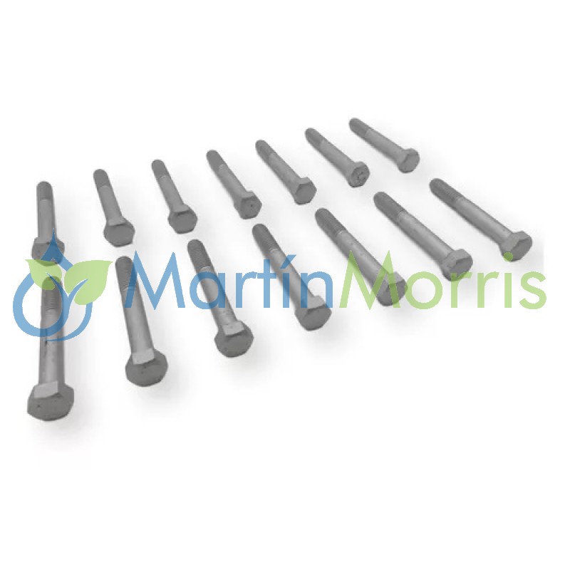 Juego de tornillos tapa de cilindros Ford falcon 170, 187,188, 221, sprint, maxecono TARANTO