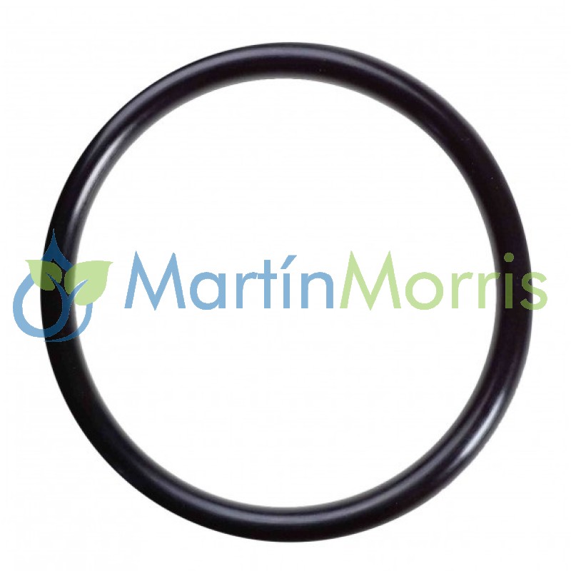 Oring EPDM para vaso filtro ARAG 322, 323, 324